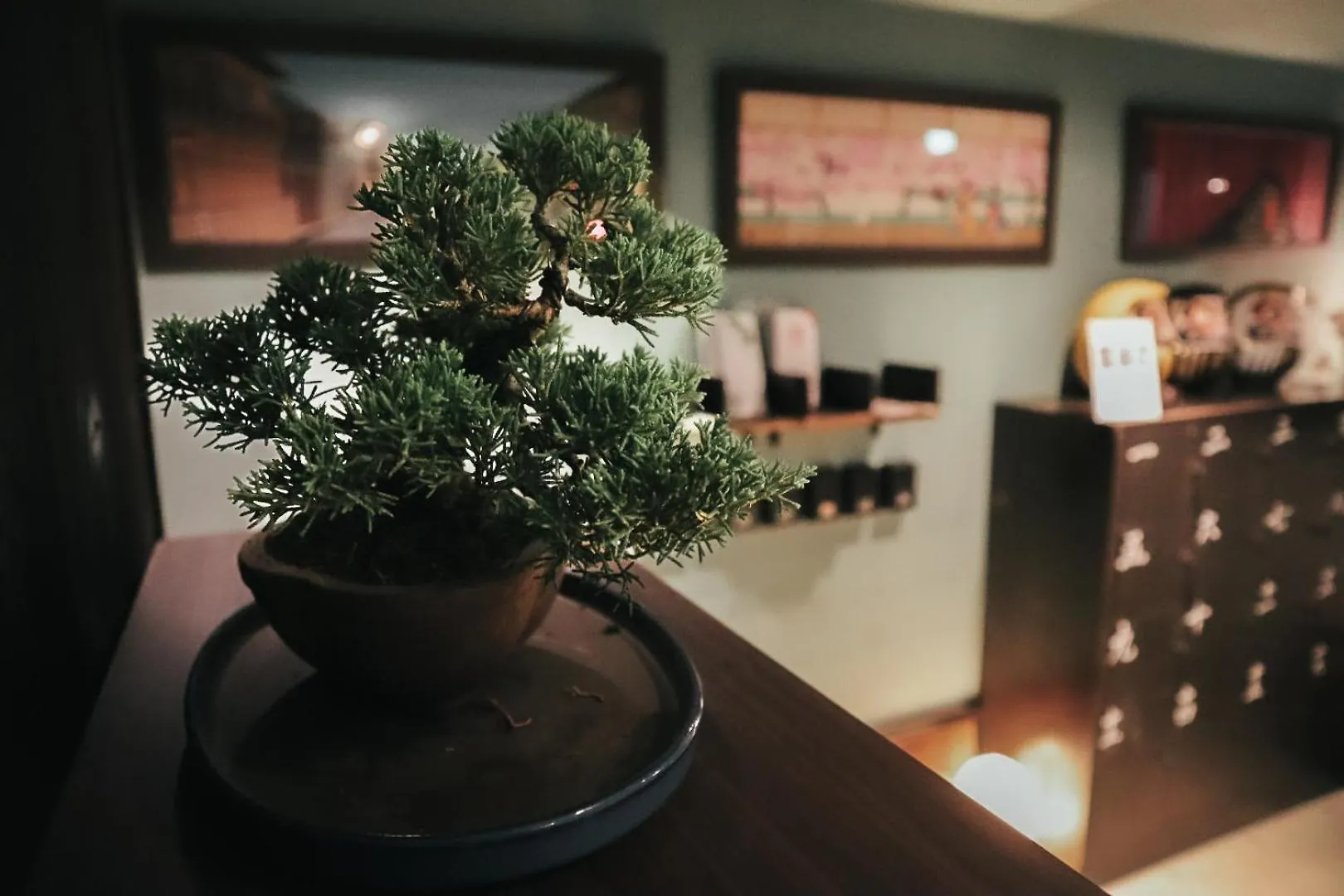 도쿄 Waves Nakameguro 호스텔